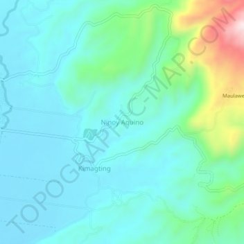 Ninoy Aquino topographic map, elevation, terrain