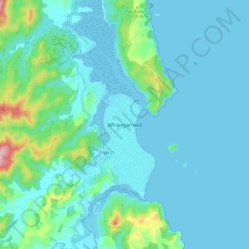 Whangamatā topographic map, elevation, terrain