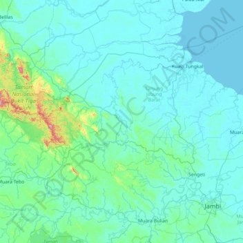 Tungkal Ulu topographic map, elevation, terrain
