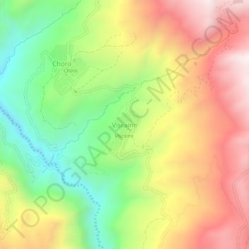Viscaino topographic map, elevation, terrain