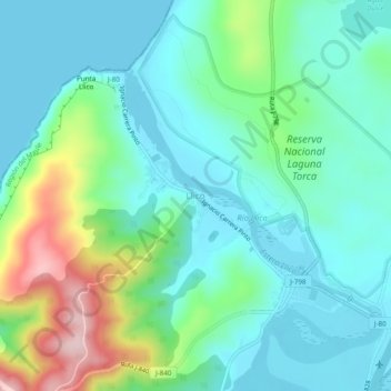 Llico topographic map, elevation, terrain