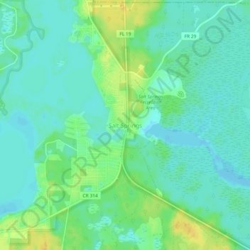 Salt Springs topographic map, elevation, terrain