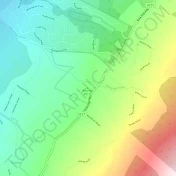 Waiohuli topographic map, elevation, terrain