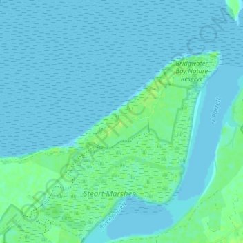 Steart topographic map, elevation, terrain