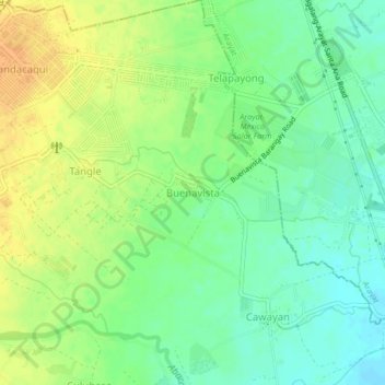 Buenavista topographic map, elevation, terrain