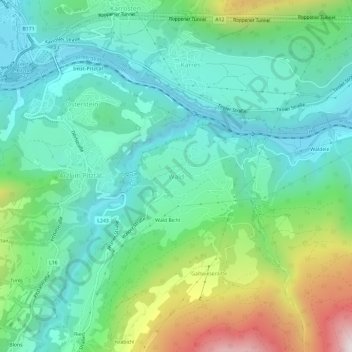 Wald topographic map, elevation, terrain