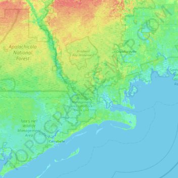 Morrison Hammock topographic map, elevation, terrain