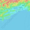 Kochi topographic map, elevation, terrain