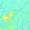 Myaungmya topographic map, elevation, terrain