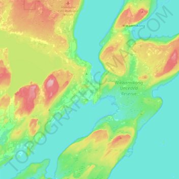 Assiginack Township topographic map, elevation, terrain