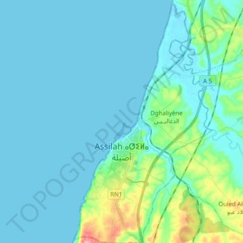 Arzila topographic map, elevation, terrain