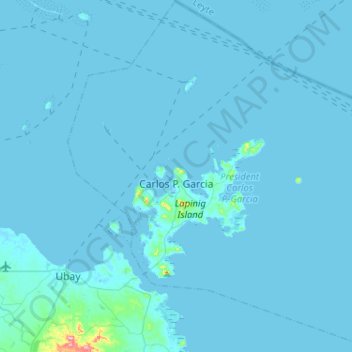 Carlos P. Garcia topographic map, elevation, terrain