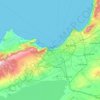 Oran topographic map, elevation, relief