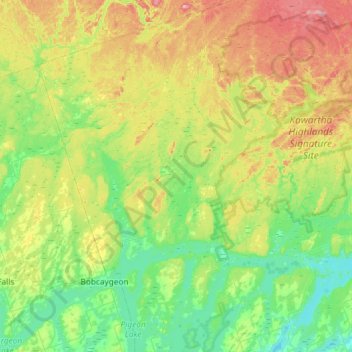 Trent Lakes topographic map, elevation, relief
